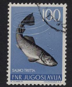 Yugoslavia  #409  1954  cancelled animals   100d  trout  2 scans