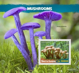 Sierra Leone - 2020 Honey Fungus Mushrooms - Stamp Souvenir Sheet - SRL200640b