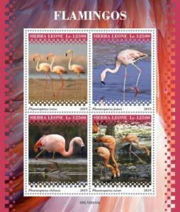 Sierra Leone - 2019 Flamingos on Stamps - 4 Stamp Sheet - SRL190910a