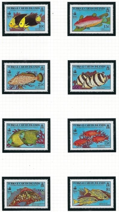 Turks and Caicos 836-43 MNH 1990 Fish (ak5487)