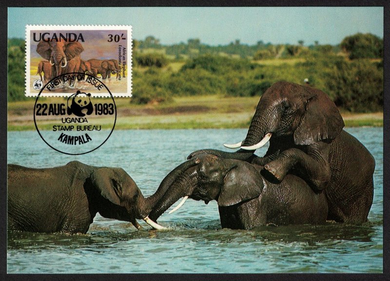 Uganda WWF African Elephants MATING Maxicard