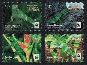 Tonga WWF Banded Iguana 4v No Frame 2016 MNH SG#1804-1808