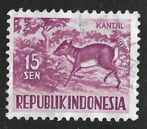 Indonesia #426 15s Lesser Malay Chevrotain