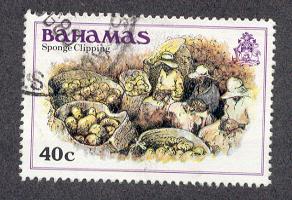 Bahamas # 474 Used Sponges