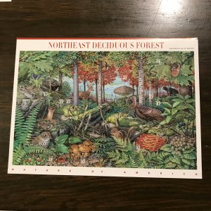 US SCOTT 3899 Sheet/10  37¢ Northeast Deciduous Forest (2) - MNH- Superb