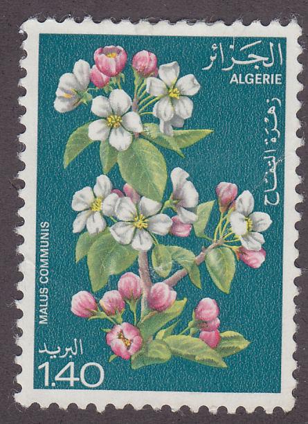 Algeria 610 Branch of an Apple Tree 1978