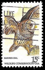 # 1762 USED BARRED OWL