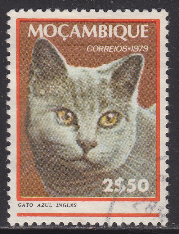 Mozambique 620 English Blue Cat 1979