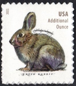 SC#5544 (20¢) Brush Rabbit Sheet Single (2021) SA