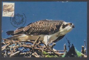 CANADA #3017d - The OSPREY on a SUPERB MAXIMUM CARD