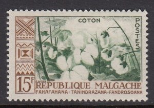 Malagasy 315 Cotton mint
