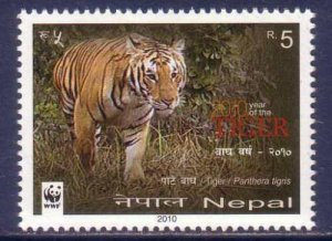 2010 Nepal 998 WWF / Cats