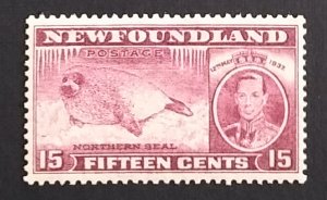 Newfoundland 239 VF MNH