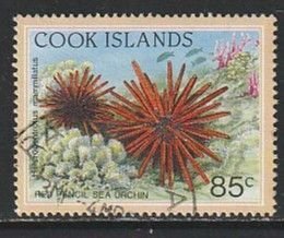 1992 Cook Islands - Sc 1077 - used VF - 1 single - Red pencil sea urchin