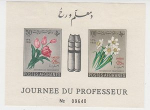 Afghanistan - 1962 - SC 545-46 - MH - Souvenir sheet - Imperf