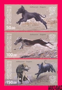 KYRGYZSTAN 2016 Traditional Kyrgyz Hunting Salbuurun Taigan Dog Wolf Animals 3v