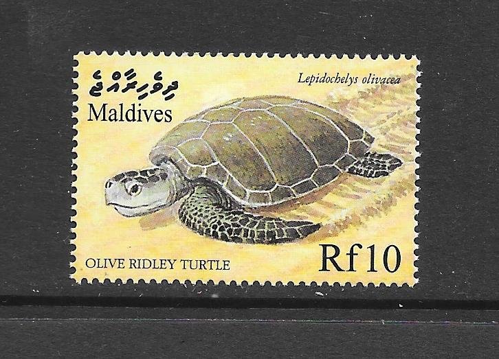 FISH - MALDIVES #2387  RIDLY TURTLE   MNH