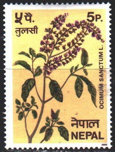 Nepal. 1980. 393 from the series. Tulasi, flowers, used in cooking and healin...