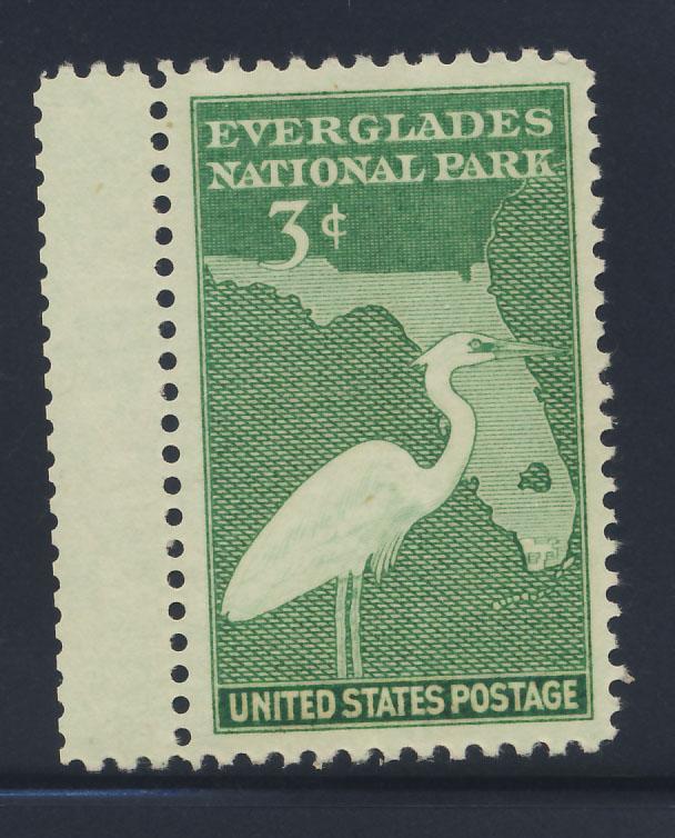 952  MNH Everglades gutter snipe 