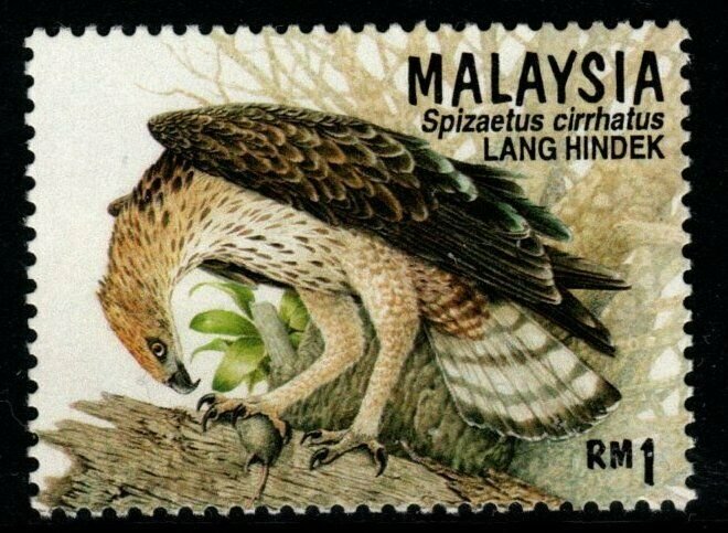 MALAYSIA SG606b 1996 1r BIRDS OF PREY PERF 13½ MNH