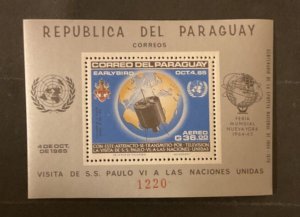 Paraguay Scott #910 never hinged