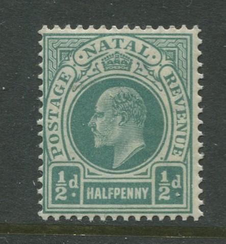 Natal - Scott 81 - KEVII Definitive Issue -1902 - MNH - Single 1/2p  Stamp