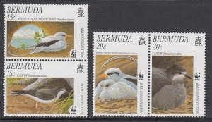Bermuda 741-4 Birds mnh