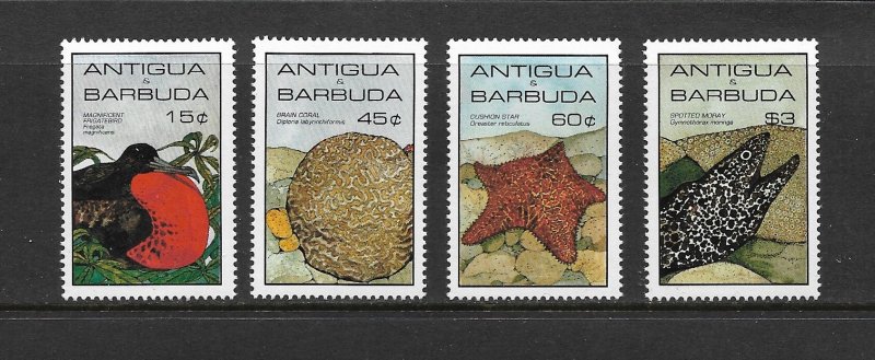 MARINE LIFE - ANTIGUA & BARBUDA #871-4  MNH