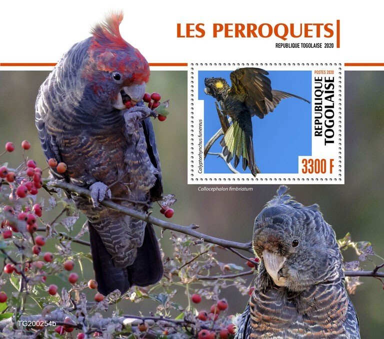 TOGO - 2020 - Parrots - Perf Souv Sheet - Mint Never Hinged
