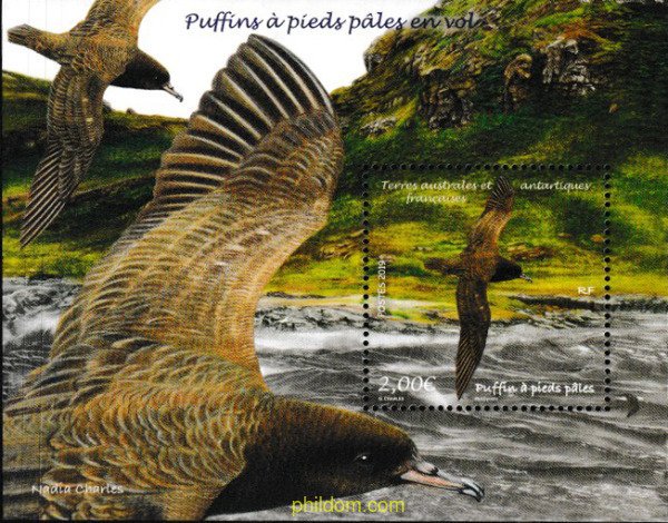 602606 MNH ANTARTIDA FRANCESA 2019 AVES
