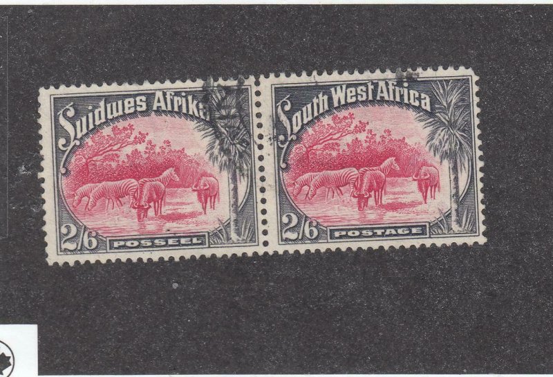 SOUTH WEST AFRICA # 117 VF-USED PAIR 2/6d ZEBRAS AND BRINDLED GNUS CV $28