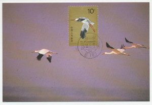 Maximum card China 1986 Bird - White crane 