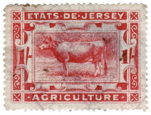 (I.B) Jersey Revenue : Duty Stamp 1/- (1900)