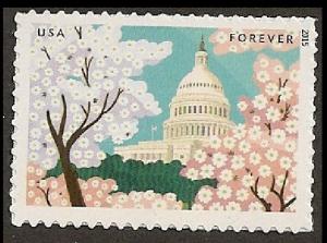 US 4983 Gifts of Friendship Capitol forever single (1 stamp) MNH 2015