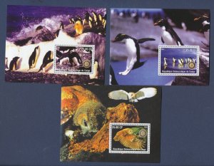 CONGO Democratic Republic - birds, penguin, owl  - THREE  MNH S/S - 2002