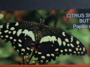 ​FERR ISLAND STAMP-2010 COLORFUL BEAUTIFUL LOVELY BUTTERFLY MNH MINI SHEET-VF