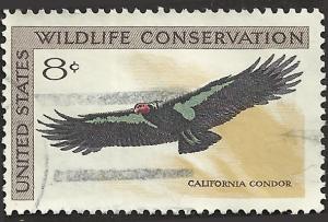 # 1430 USED CALIFORNIA CONDOR