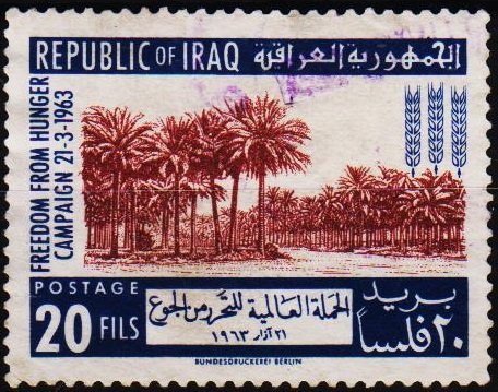 Iraq. 1963 20f S.G.638 Fine Used