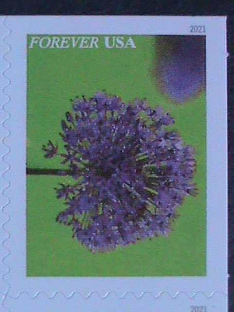 ​UNITED STATES- GARDEN BEAUTY-LOVELY FLOWERS-FOREVER MNH BOOKLET VERY FINE