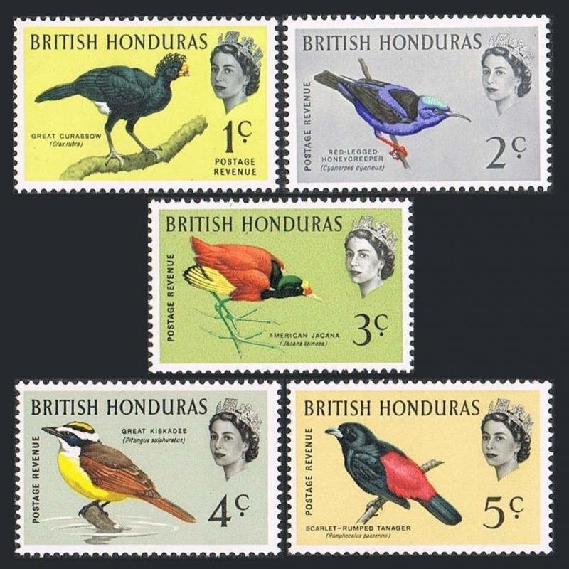 Br Honduras 167-171,MNH.Michel 164X-168X. Birds 1962.Currassow,Creeper,Jacana,