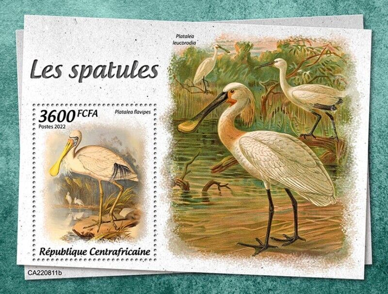 Central Africa - 2022 Spoonbill Birds - Stamp Souvenir Sheet ...