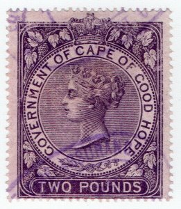 (I.B) Cape of Good Hope Revenue : Stamp Duty £2 (1873)