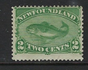 Newfoundland 46 MH 1890 issue (fe1371)