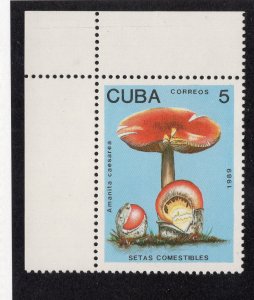 Cuba 1989 5c Mushroom, Scott 3096 MNH, value = 25c