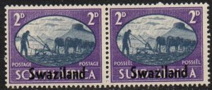 Swaziland Sc #39 Mint Hinged pair