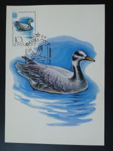 bird duck maximum card Soviet Union 1982