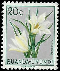 RUANDA-URUNDI   #116 MH (4)
