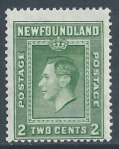 Newfoundland #245 MH 2c King George VI