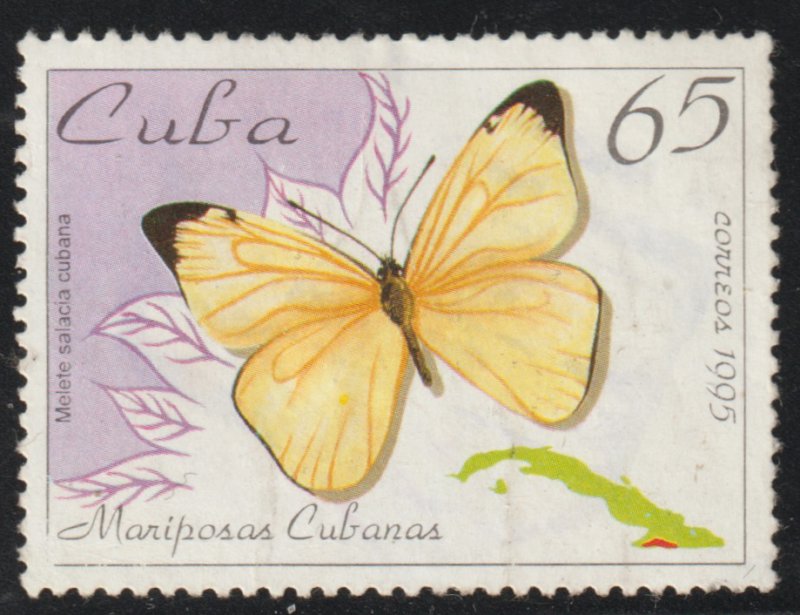 ​1995 Cuba Stamps Sc 3647 Butterfly Melete salacia MNH