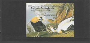BIRDS - ANTIGUA #914  AUDUBON  MNH